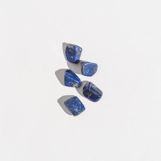Tumbled Lapis Lazuli Pocket Healing Stone