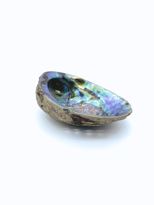 Abalone Smudging Shell 5-6"