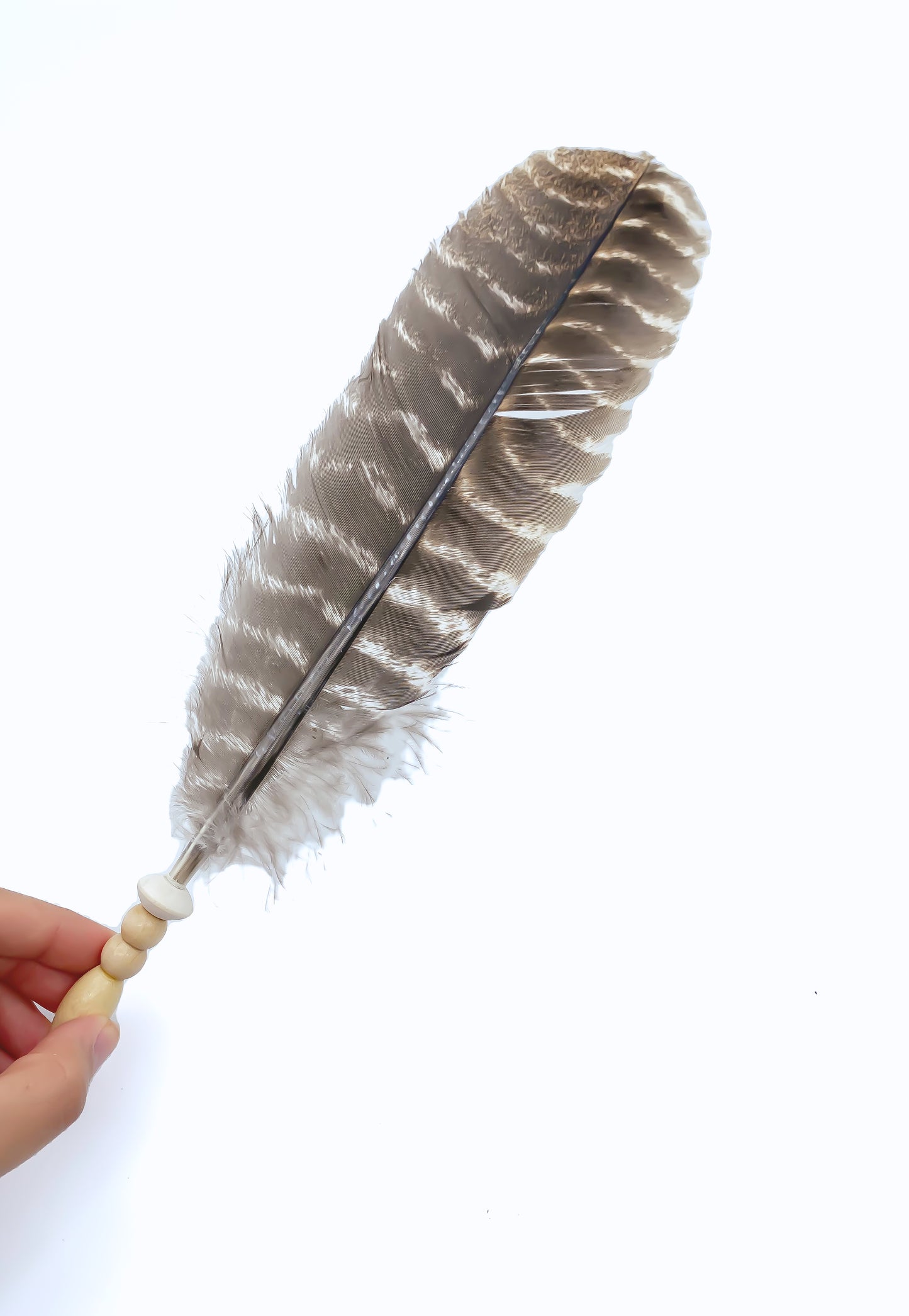 Smudging Turkey Feather 14"