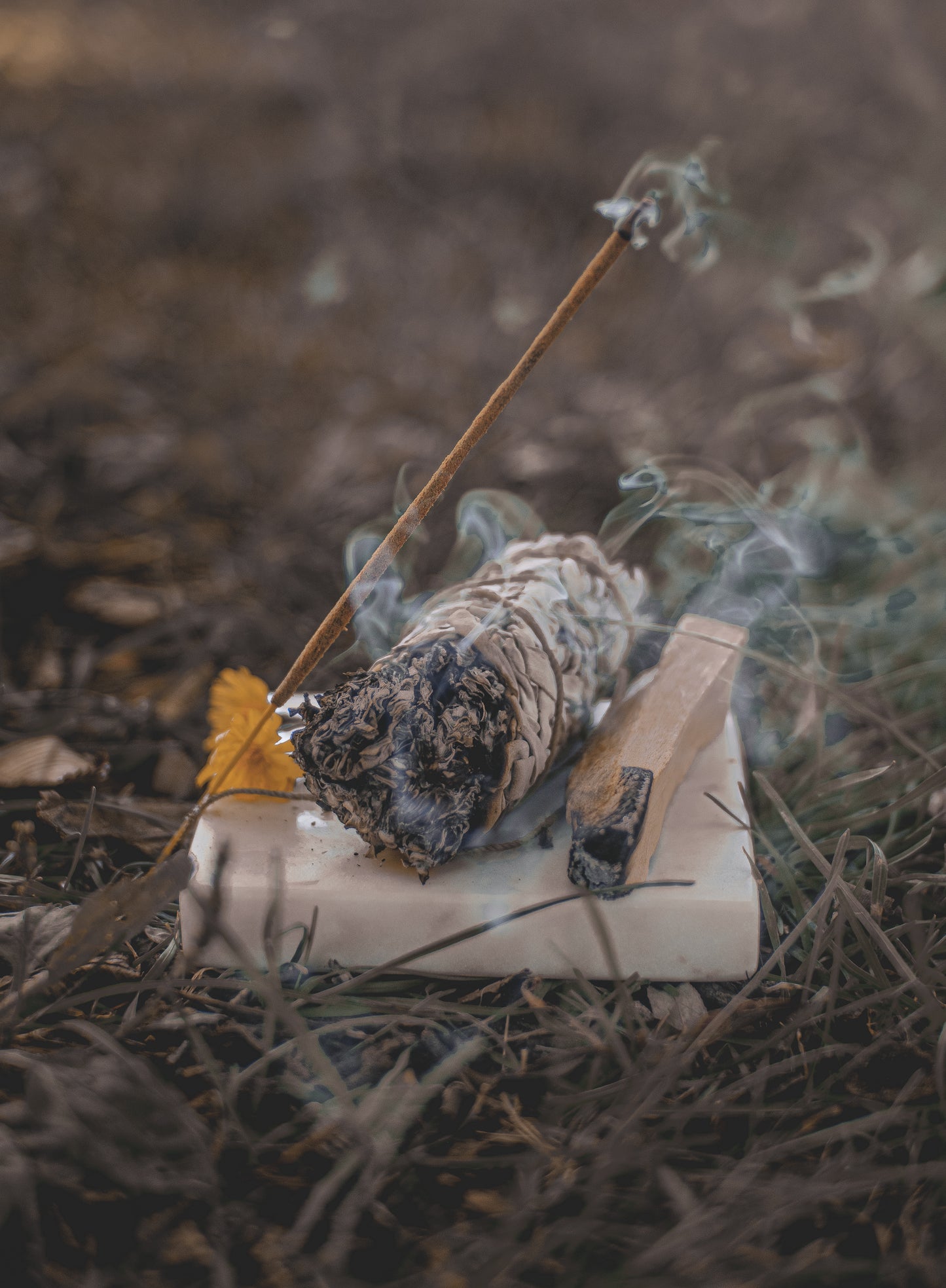 White Sage Smudge Stick